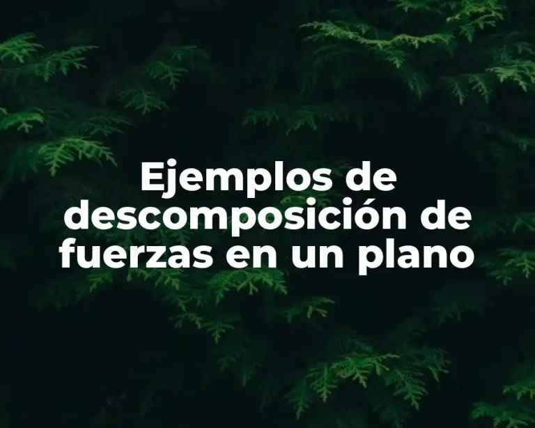 Ejemplos de descomposición de fuerzas en un plano