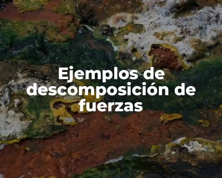 Ejemplos de descomposición de fuerzas