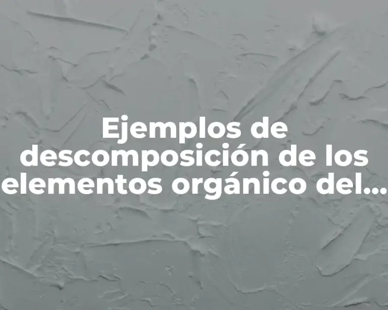 Ejemplos de descomposición de los elementos orgánico del ser vivo