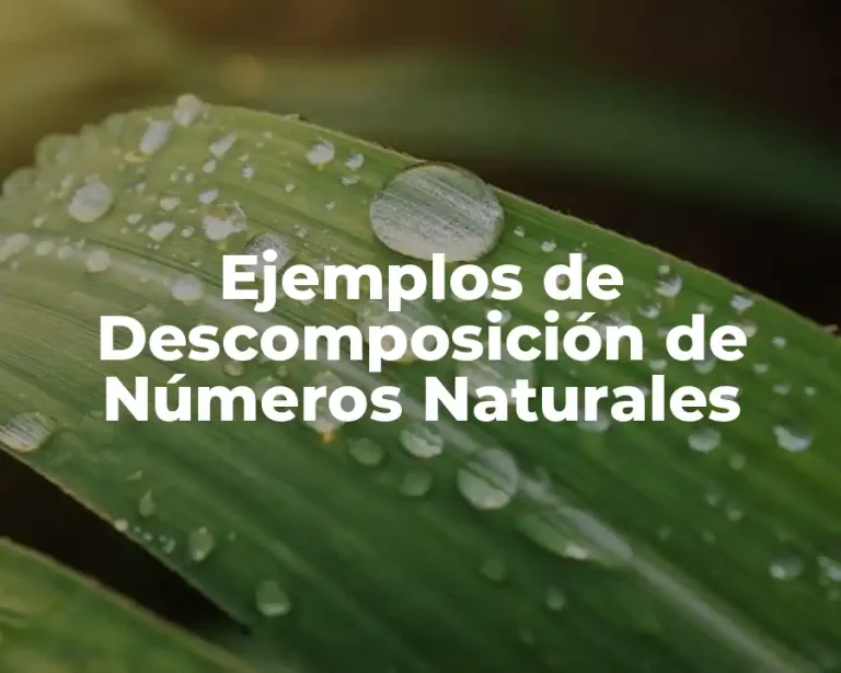Ejemplos de Descomposición de Números Naturales