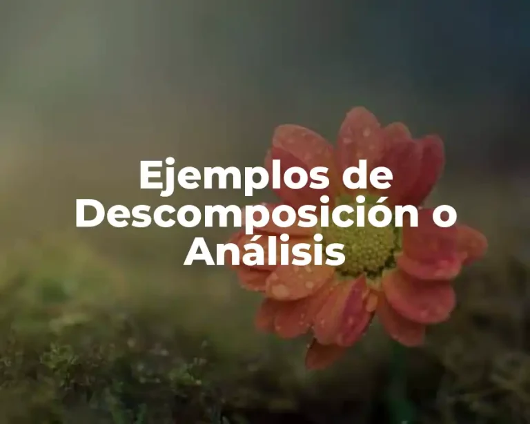 Ejemplos de Descomposición o Análisis
