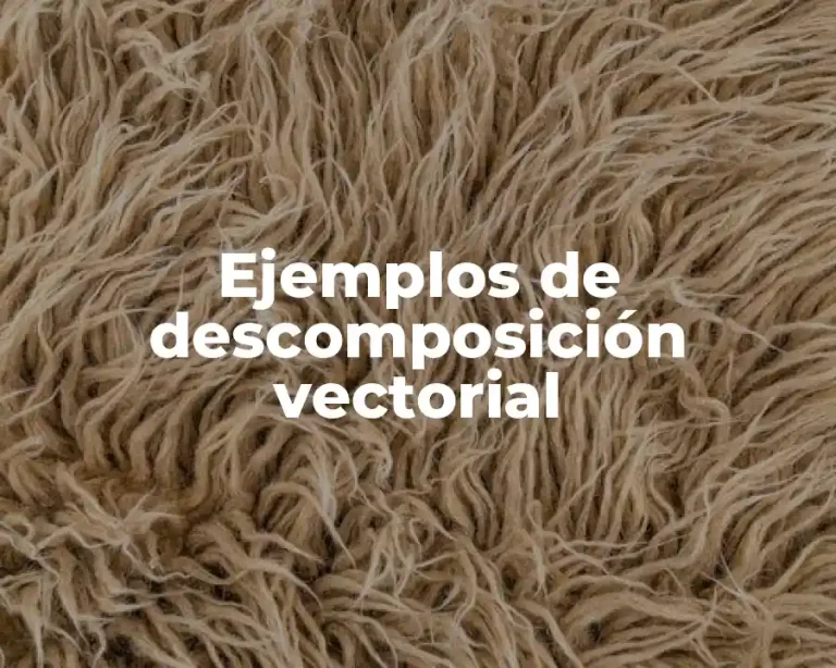 Ejemplos de descomposición vectorial