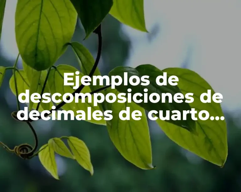Ejemplos de descomposiciones de decimales de cuarto grado