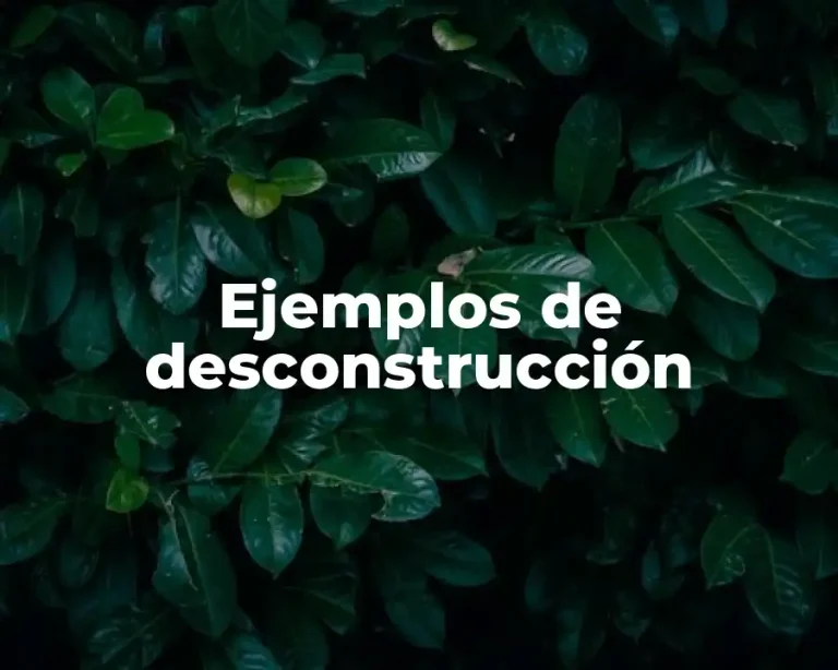 Ejemplos de desconstrucción