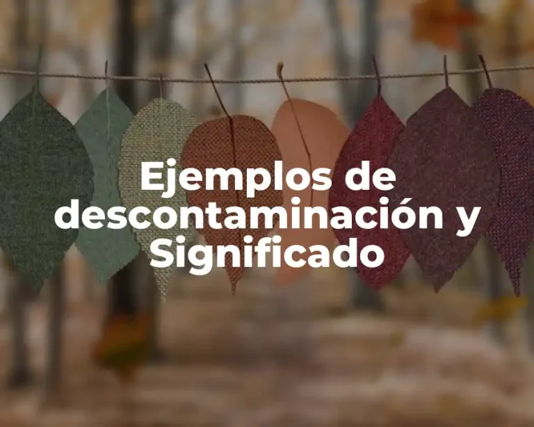 Ejemplos de descontaminación y Significado