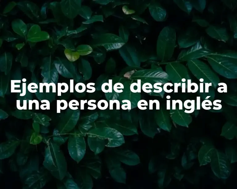 Ejemplos de describir a una persona en inglés