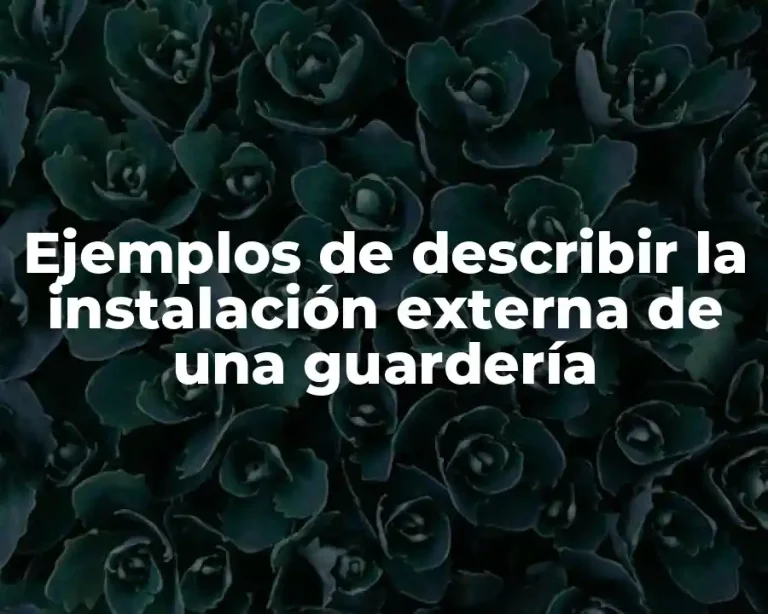 Ejemplos de describir la instalación externa de una guardería