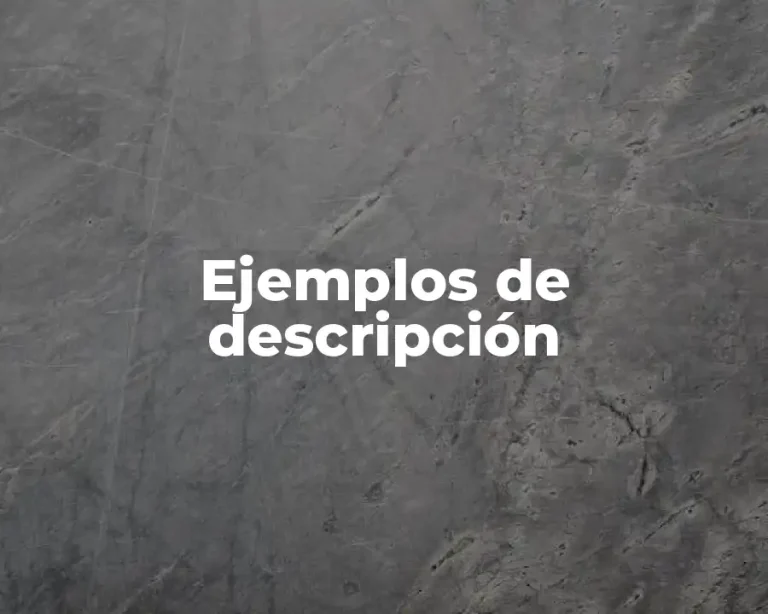 Ejemplos de descripción