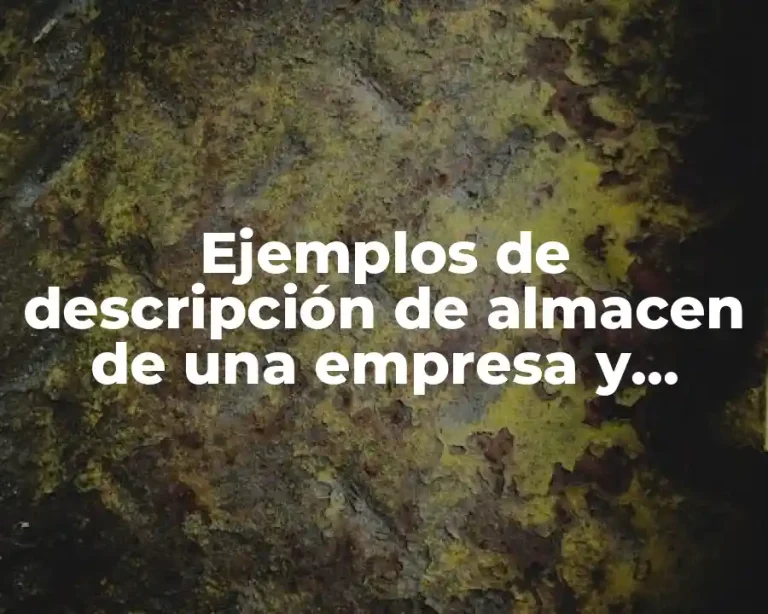 Ejemplos de descripción de almacen de una empresa y Significado