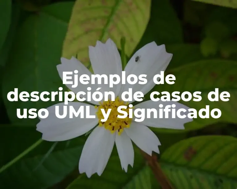Ejemplos de descripción de casos de uso UML y Significado