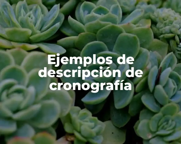 Ejemplos de descripción de cronografía