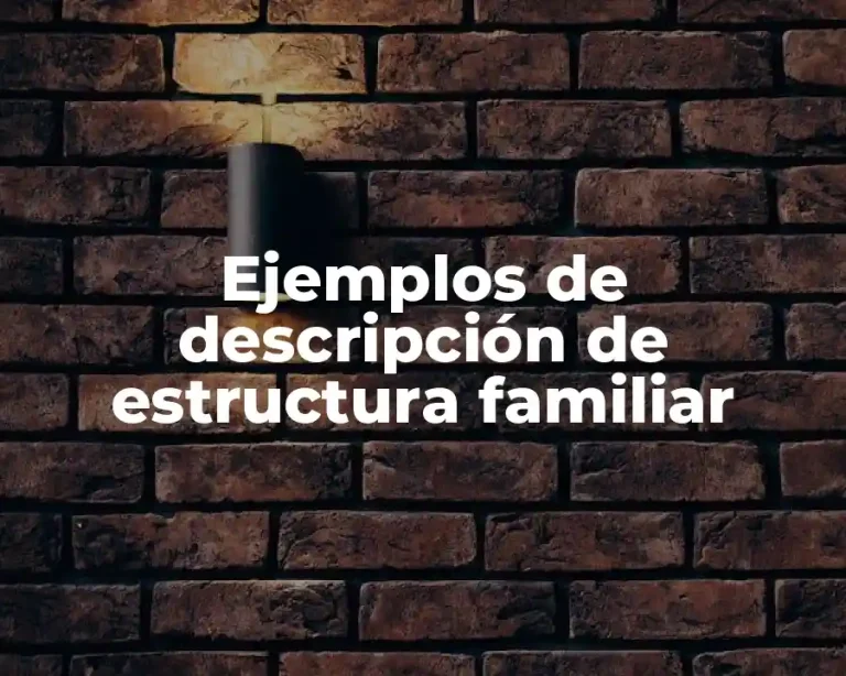 Ejemplos de descripción de estructura familiar