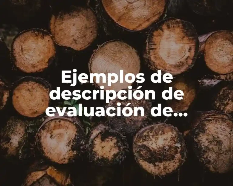 Ejemplos de descripción de evaluación de desempeño laboral