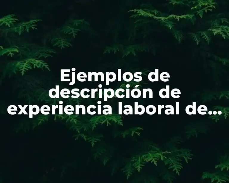 Ejemplos de descripción de experiencia laboral de ensamblador de Chrysler