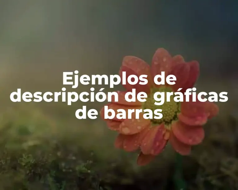 Ejemplos de descripción de gráficas de barras