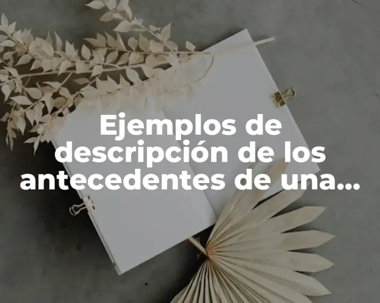 Ejemplos de descripción de los antecedentes de una institución