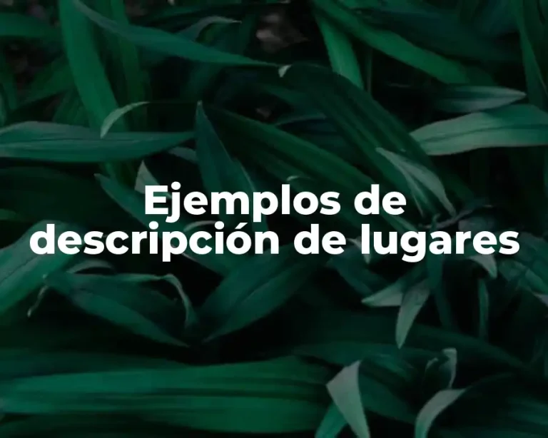 Ejemplos de descripción de lugares