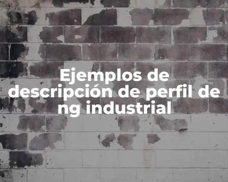 Ejemplos de descripción de perfil de ng industrial