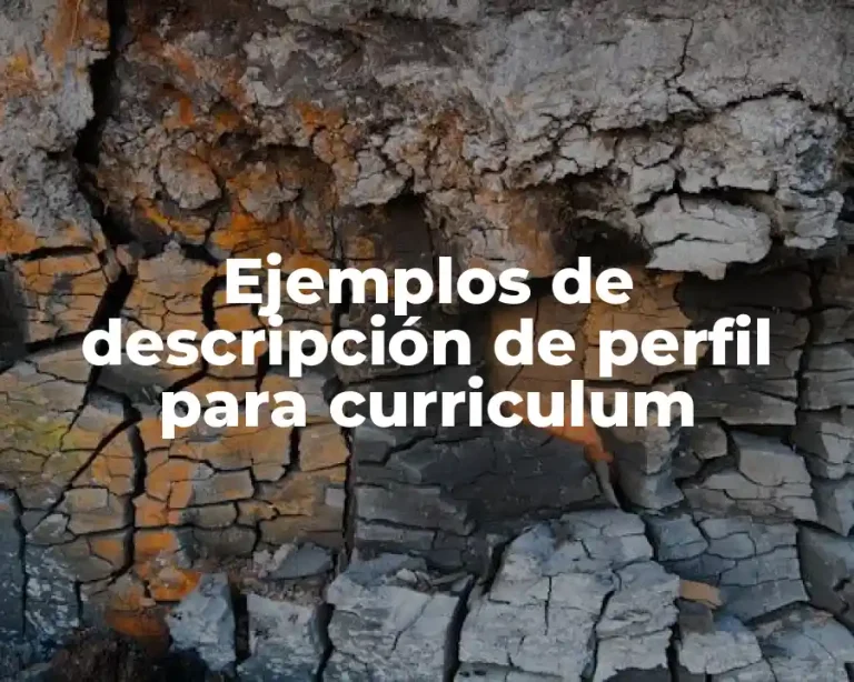 Ejemplos de descripción de perfil para curriculum