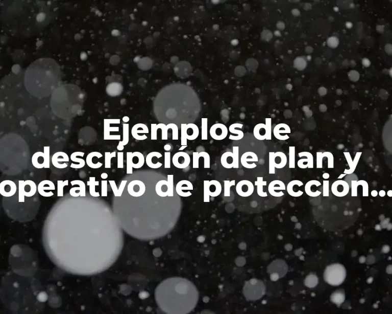 Ejemplos de descripción de plan y operativo de protección civil