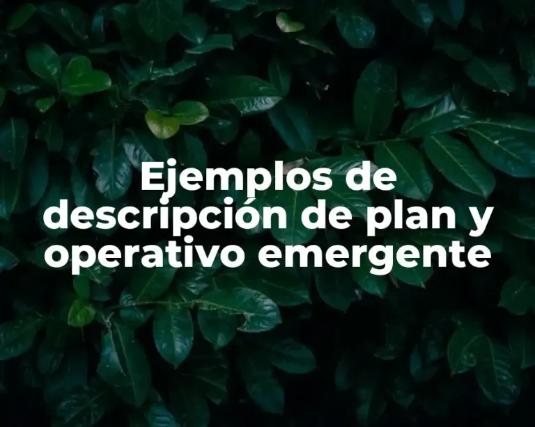 Ejemplos de descripción de plan y operativo emergente