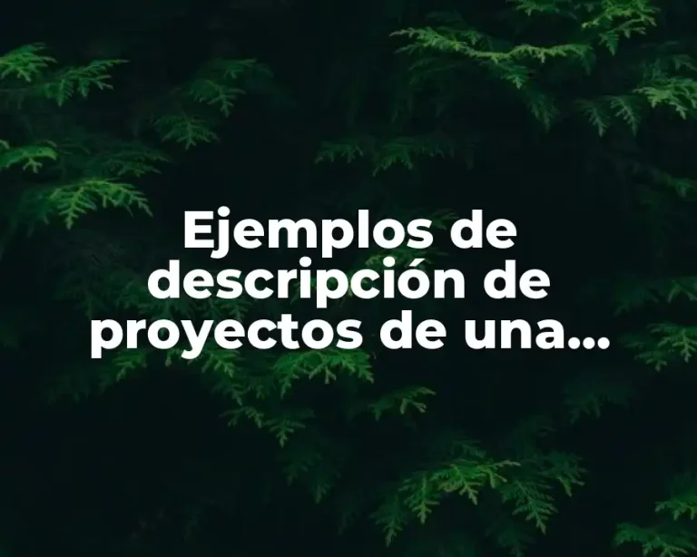 Ejemplos de descripción de proyectos de una empresa