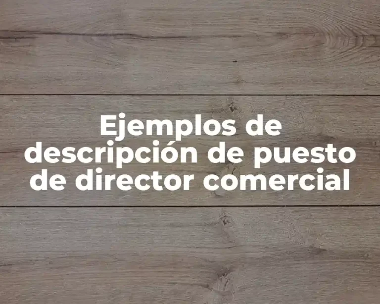 Ejemplos de descripción de puesto de director comercial