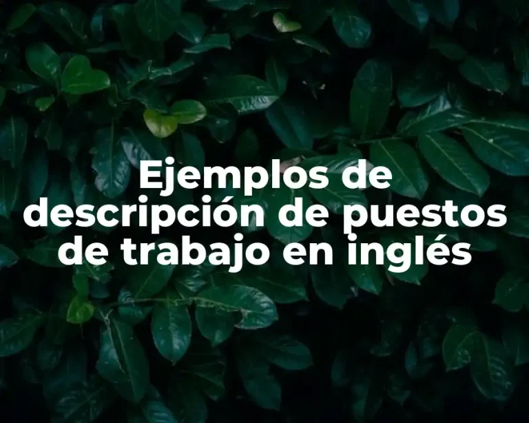 Ejemplos de descripción de puestos de trabajo en inglés