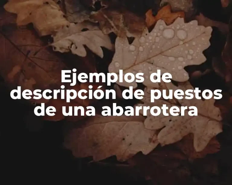 Ejemplos de descripción de puestos de una abarrotera