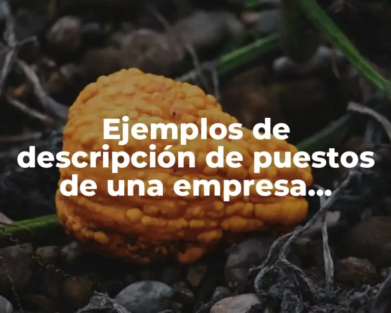 Ejemplos de descripción de puestos de una empresa estructura y Significado