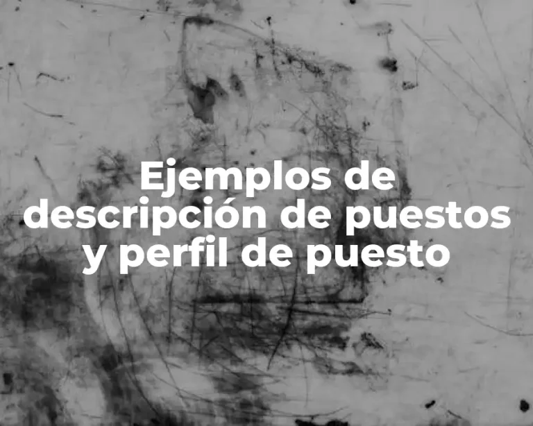 Ejemplos de descripción de puestos y perfil de puesto