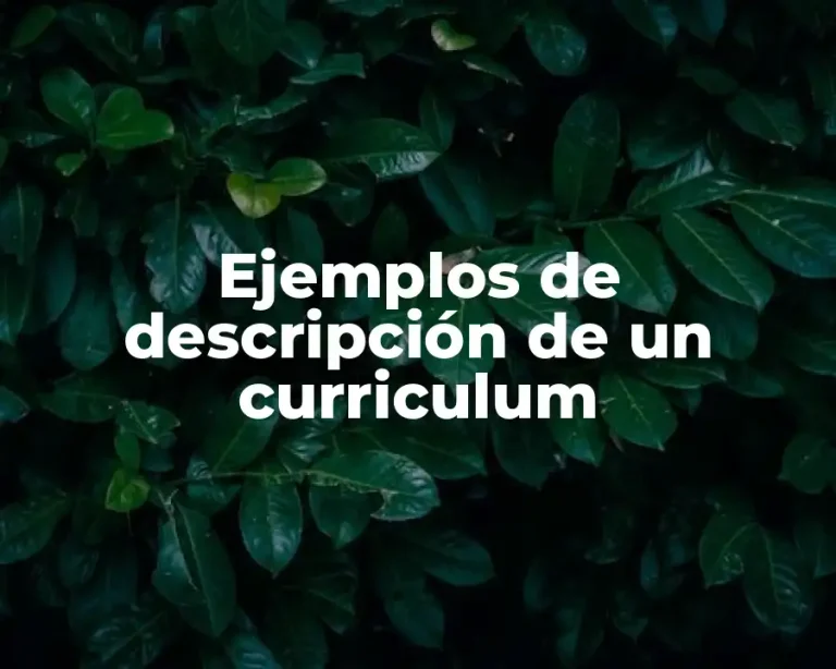 Ejemplos de descripción de un curriculum