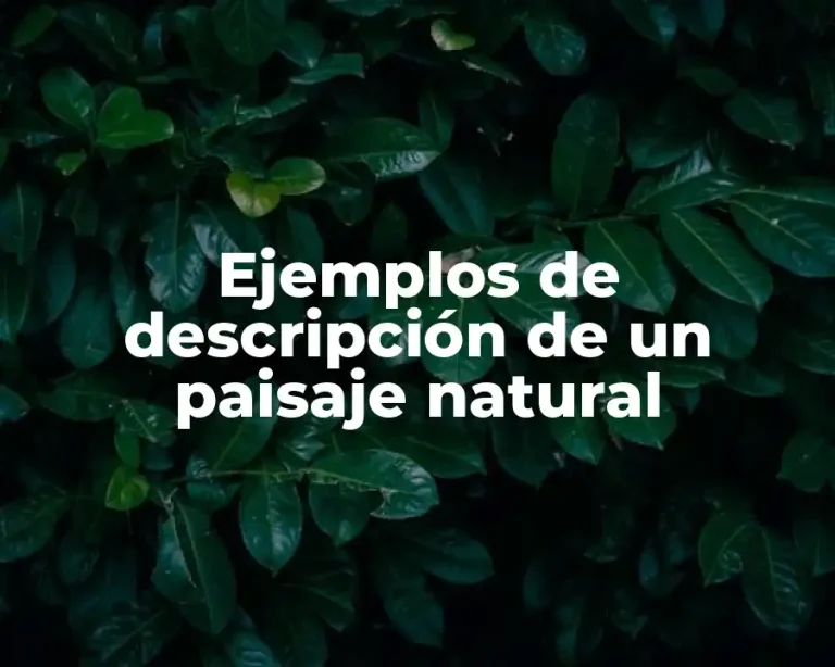 Ejemplos de descripción de un paisaje natural
