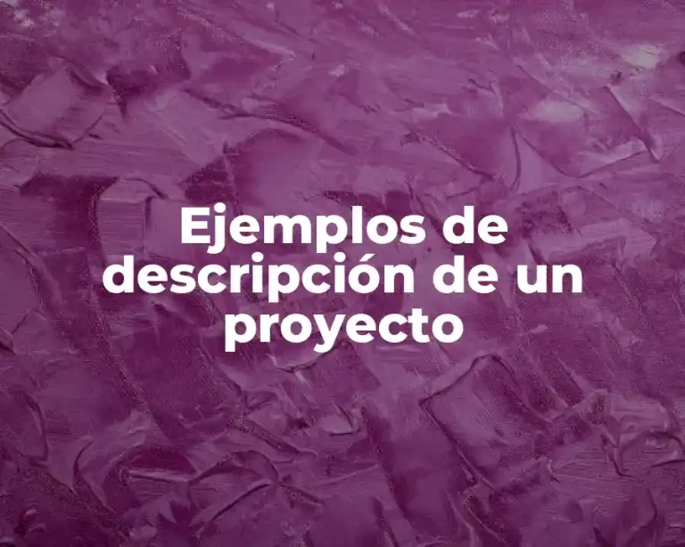 Ejemplos de descripción de un proyecto