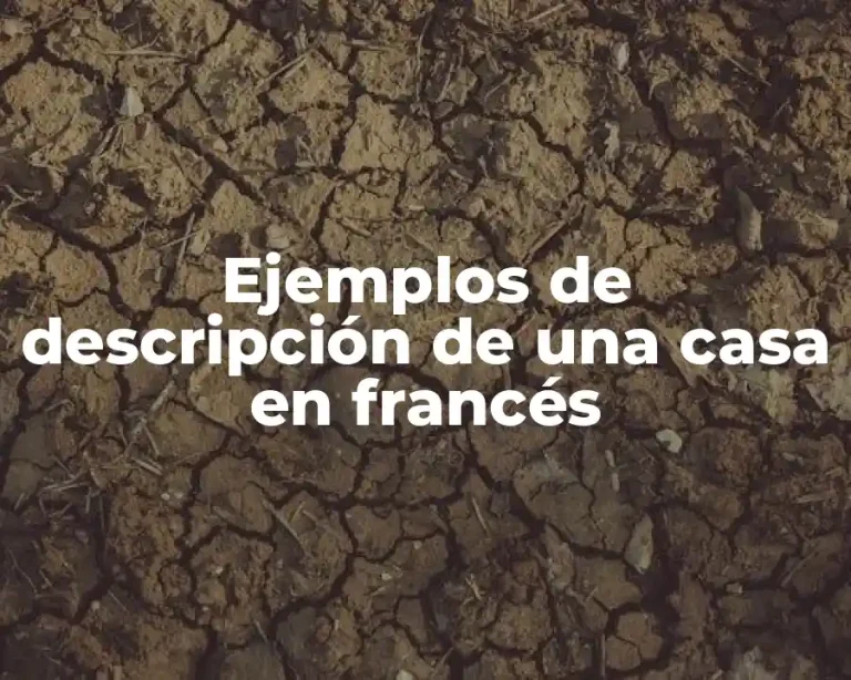 Ejemplos de descripción de una casa en francés