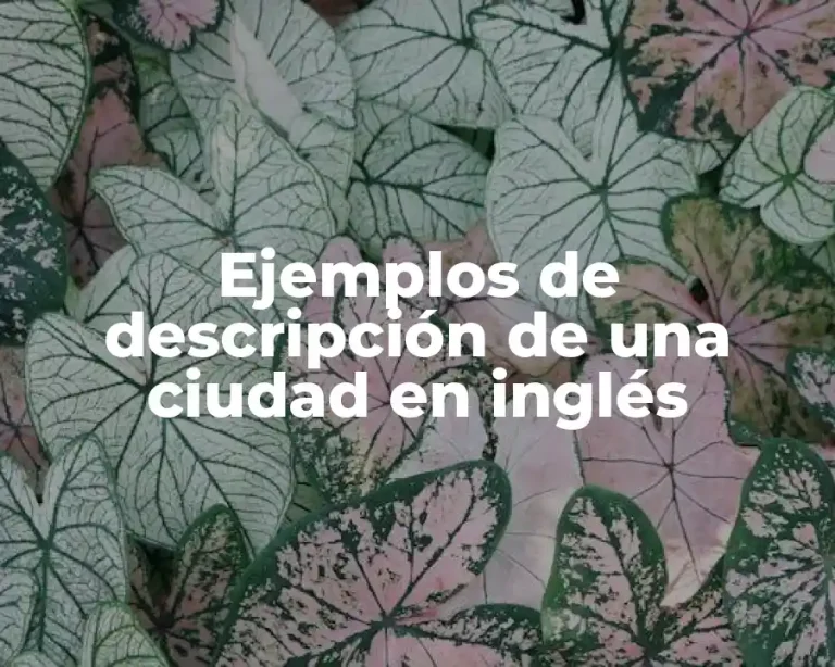 Ejemplos de descripción de una ciudad en inglés