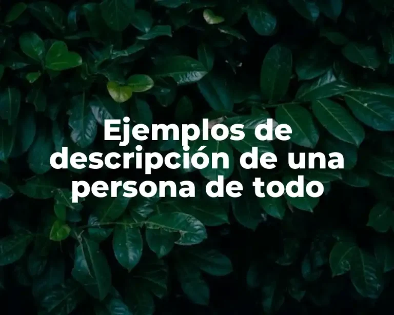 Ejemplos de descripción de una persona de todo