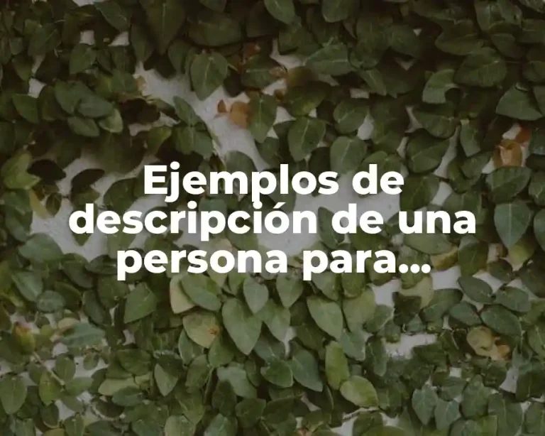 Ejemplos de descripción de una persona para curriculum