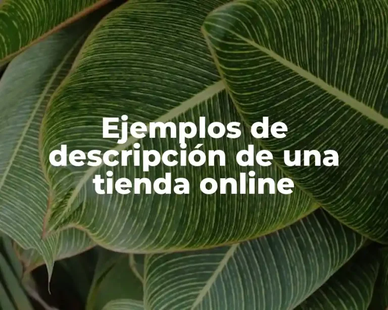 Ejemplos de descripción de una tienda online