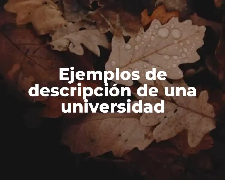 Ejemplos de descripción de una universidad