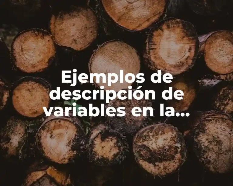 Ejemplos de descripción de variables en la investigación