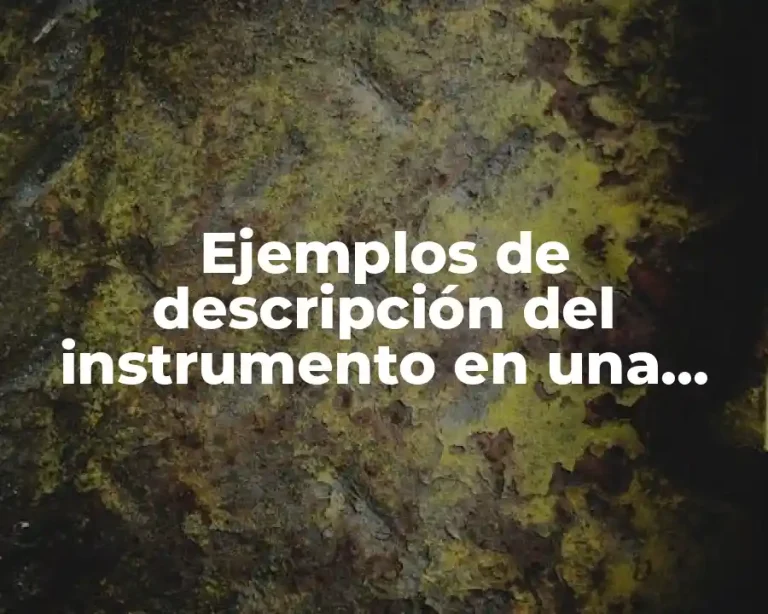 Ejemplos de descripción del instrumento en una investigación