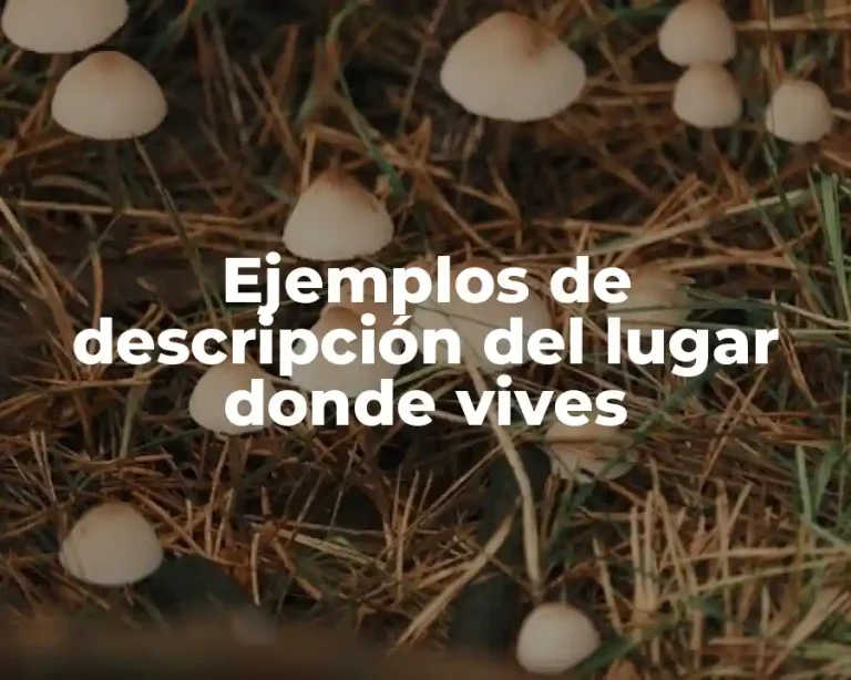 Ejemplos de descripción del lugar donde vives