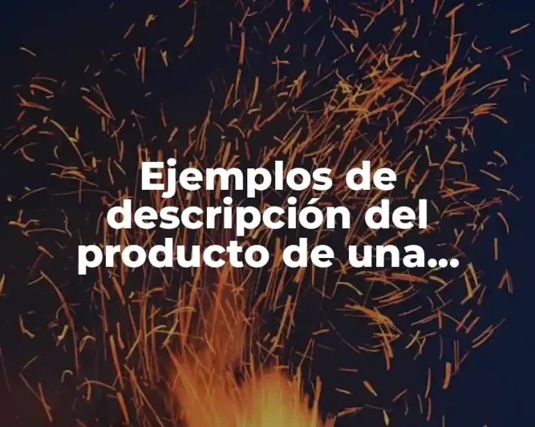 Ejemplos de descripción del producto de una empresa