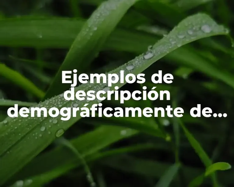Ejemplos de descripción demográficamente de una empresa