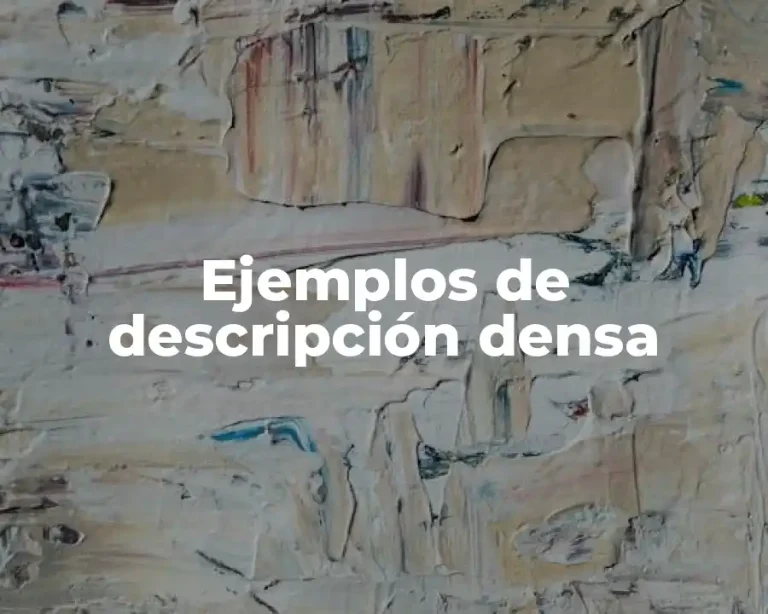 Ejemplos de descripción densa