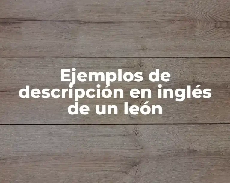 Ejemplos de descripción en inglés de un león