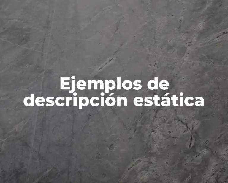 Ejemplos de descripción estática