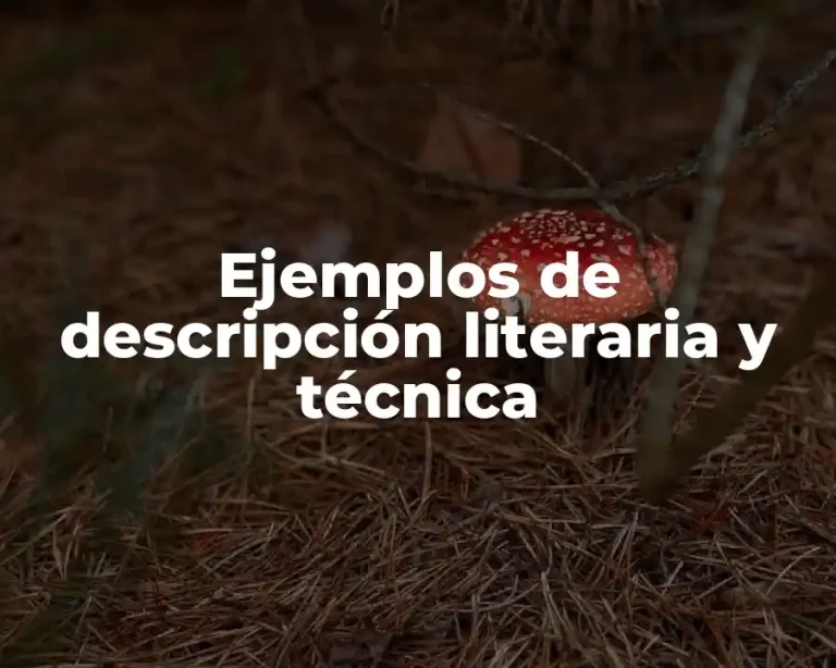 Ejemplos de descripción literaria y técnica