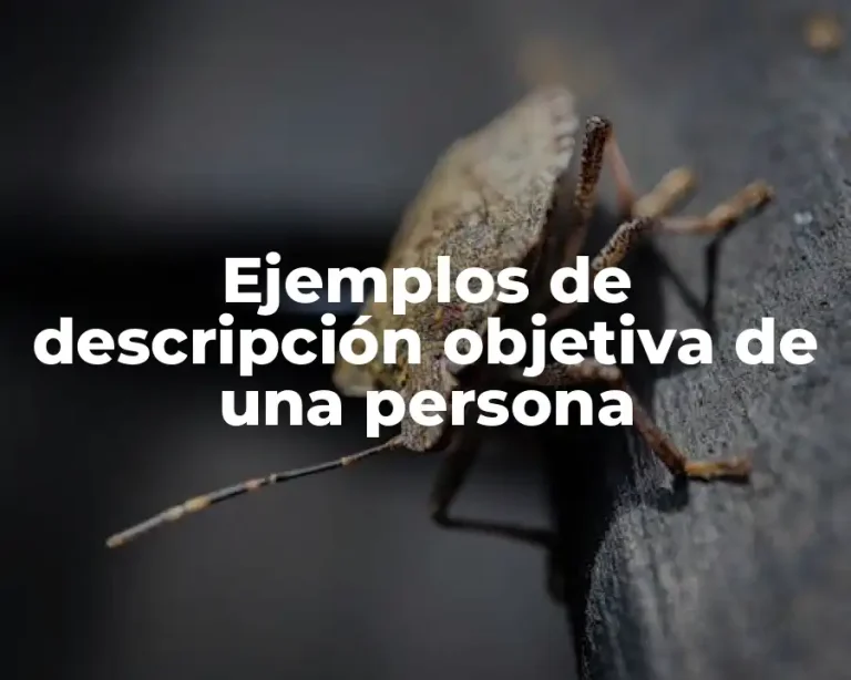 Ejemplos de descripción objetiva de una persona